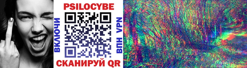 Галлюциногенные грибы Psilocybe  Губкинский 